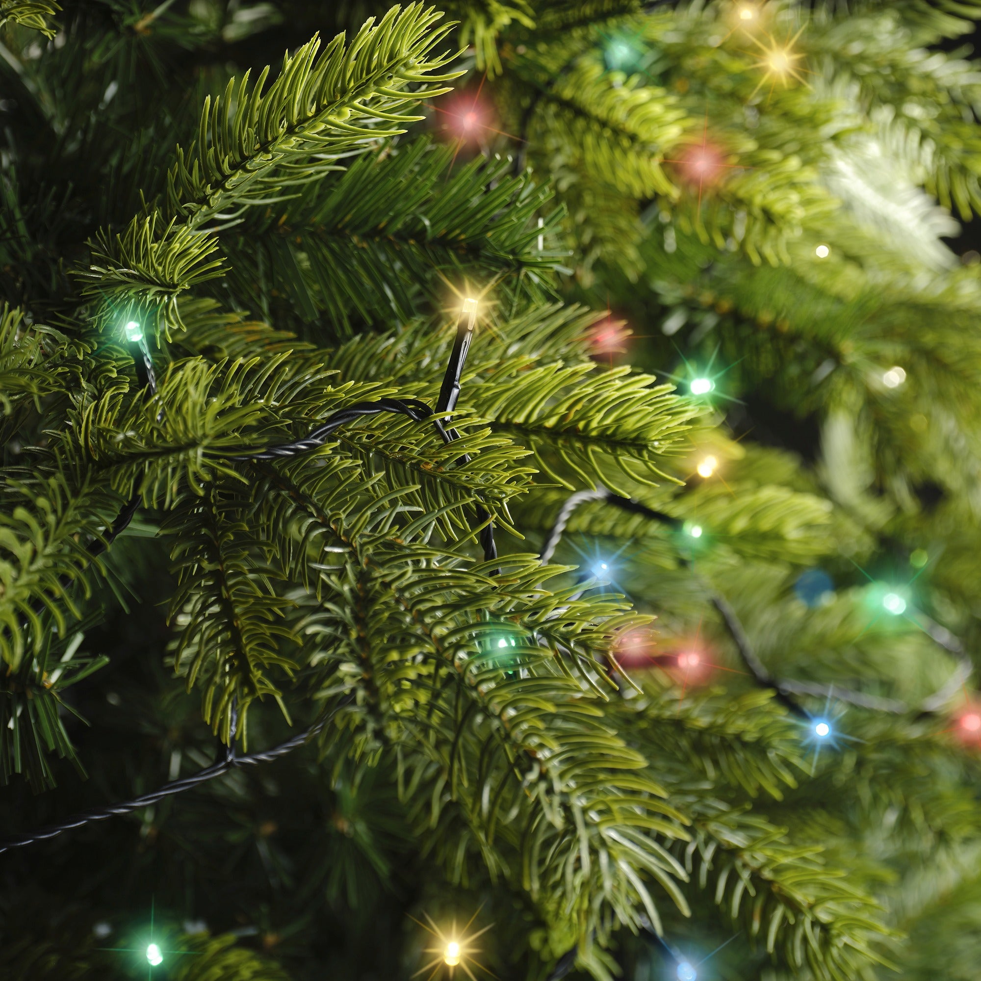 Lumineo LED basic twinkel 900cm 120L - zwart/multi - kerstverlichting