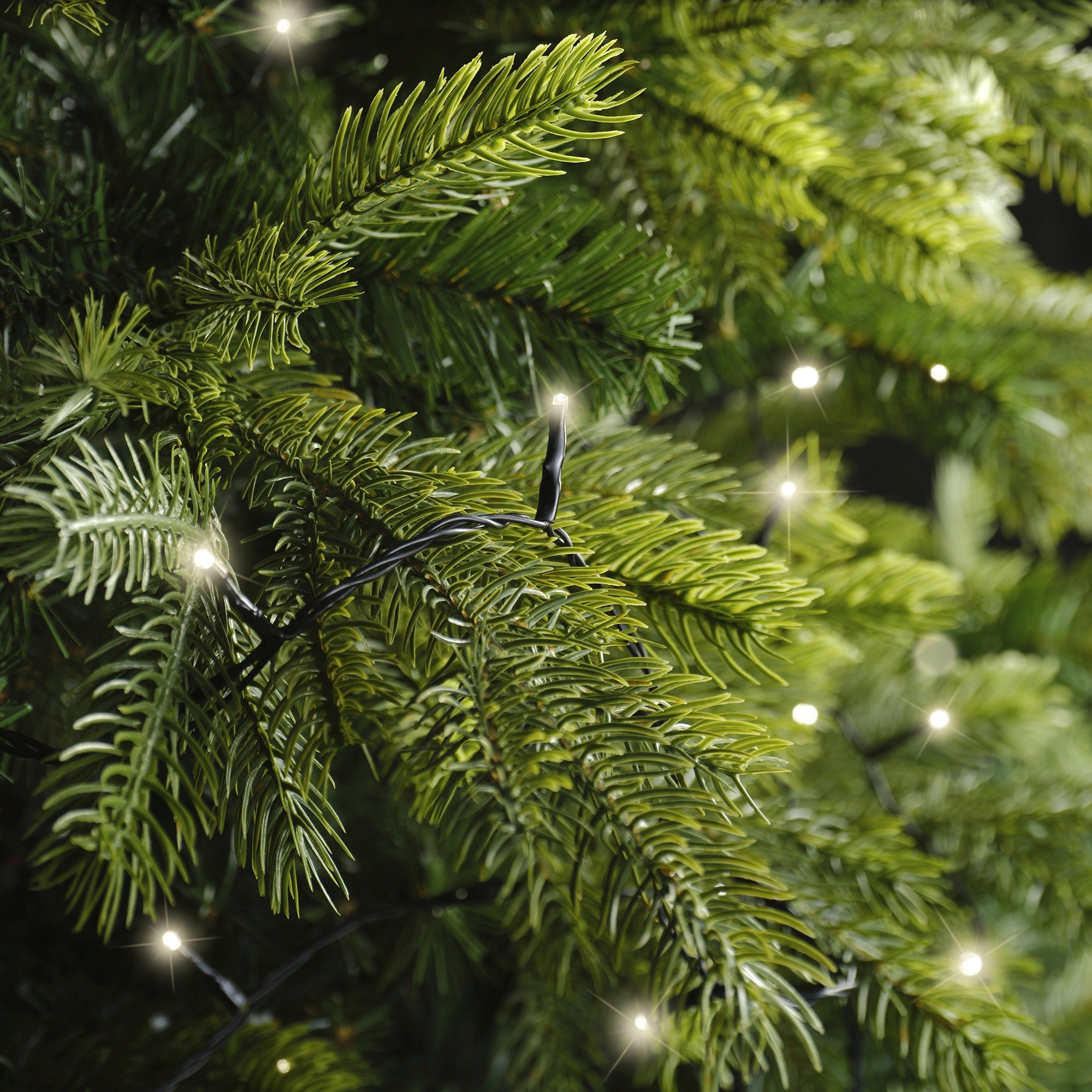 Lumineo LED basic 1800cm 240L - zwart/warm wit  - kerstverlichting