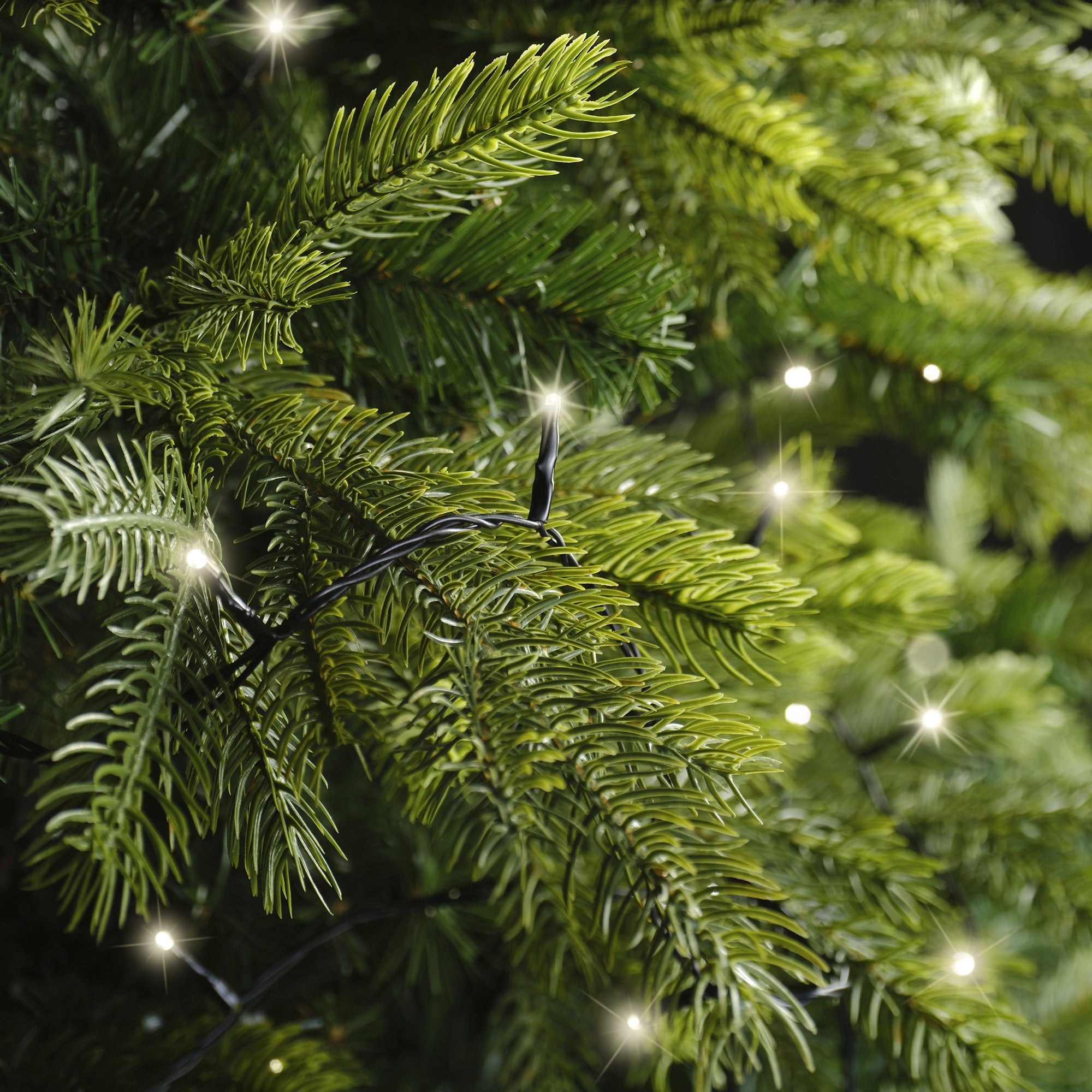Lumineo LED basic twinkel 7200cm 360L - zwart/warm wit  - kerstverlichting