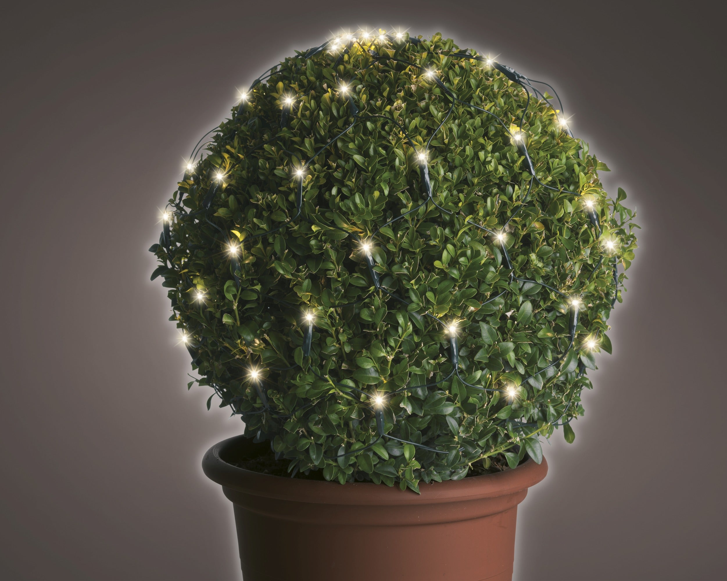 Lumineo LED box net 80cm 120L - groen/warm wit - kerstverlichting