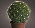 Lumineo LED box net 80cm 120L - groen/warm wit - kerstverlichting