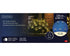 Lumineo LED box net 80cm 120L - groen/warm wit - kerstverlichting