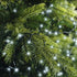 Lumineo LED compact twinkel 2250cm 1000L - groen/koel wit - kerstverlichting