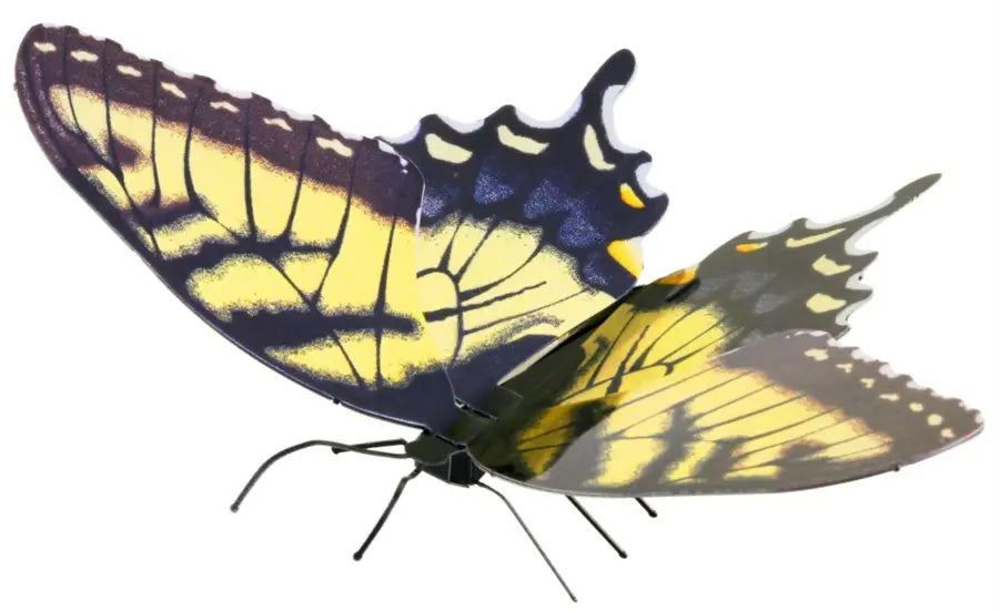 Fasc. ME - Tiger swallowtail butterfly