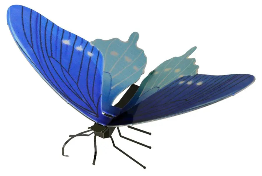 Fasc. ME - Pipevine swallowtail butterfly