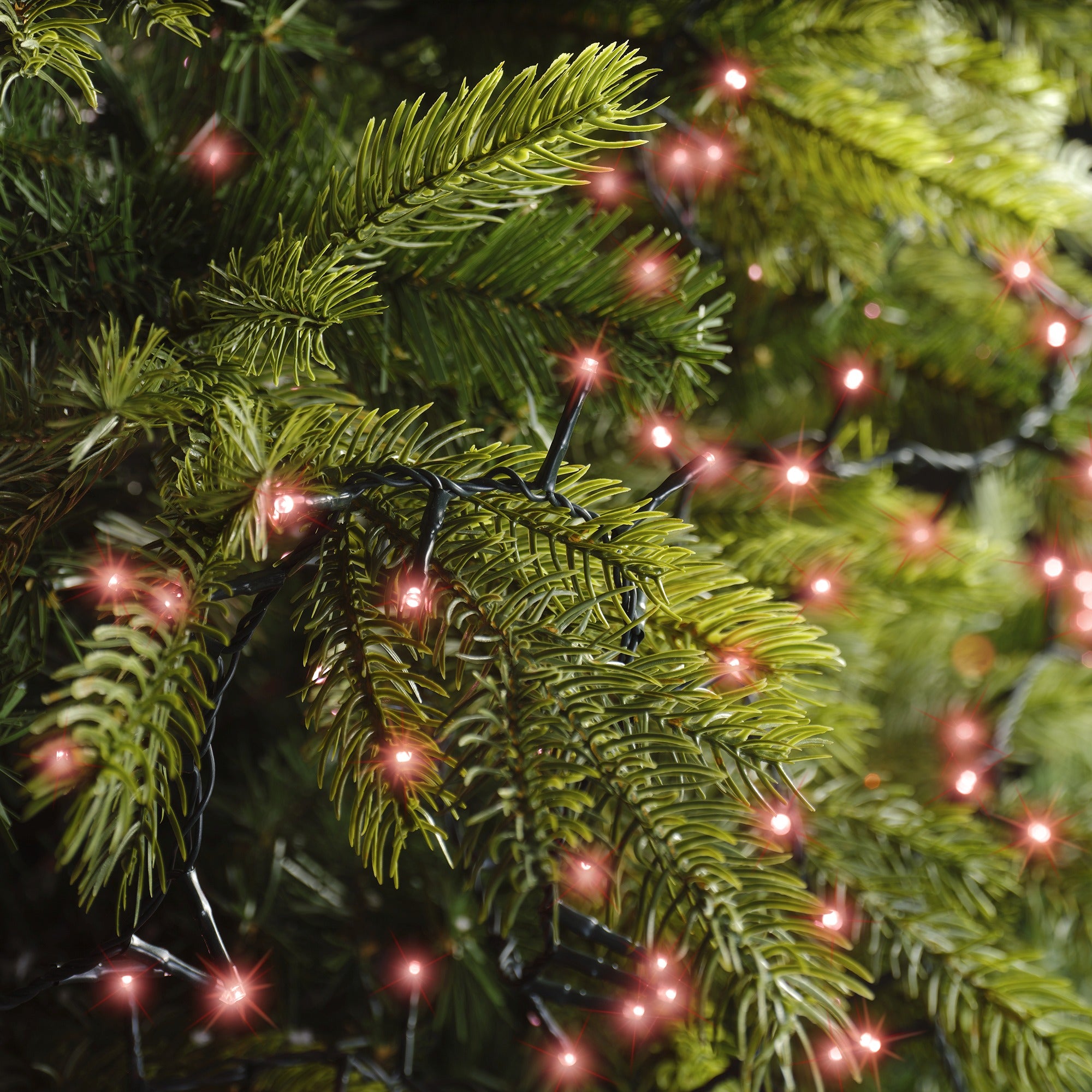 Lumineo LED compact twinkel 1100cm 500L - groen/rood - kerstverlichting