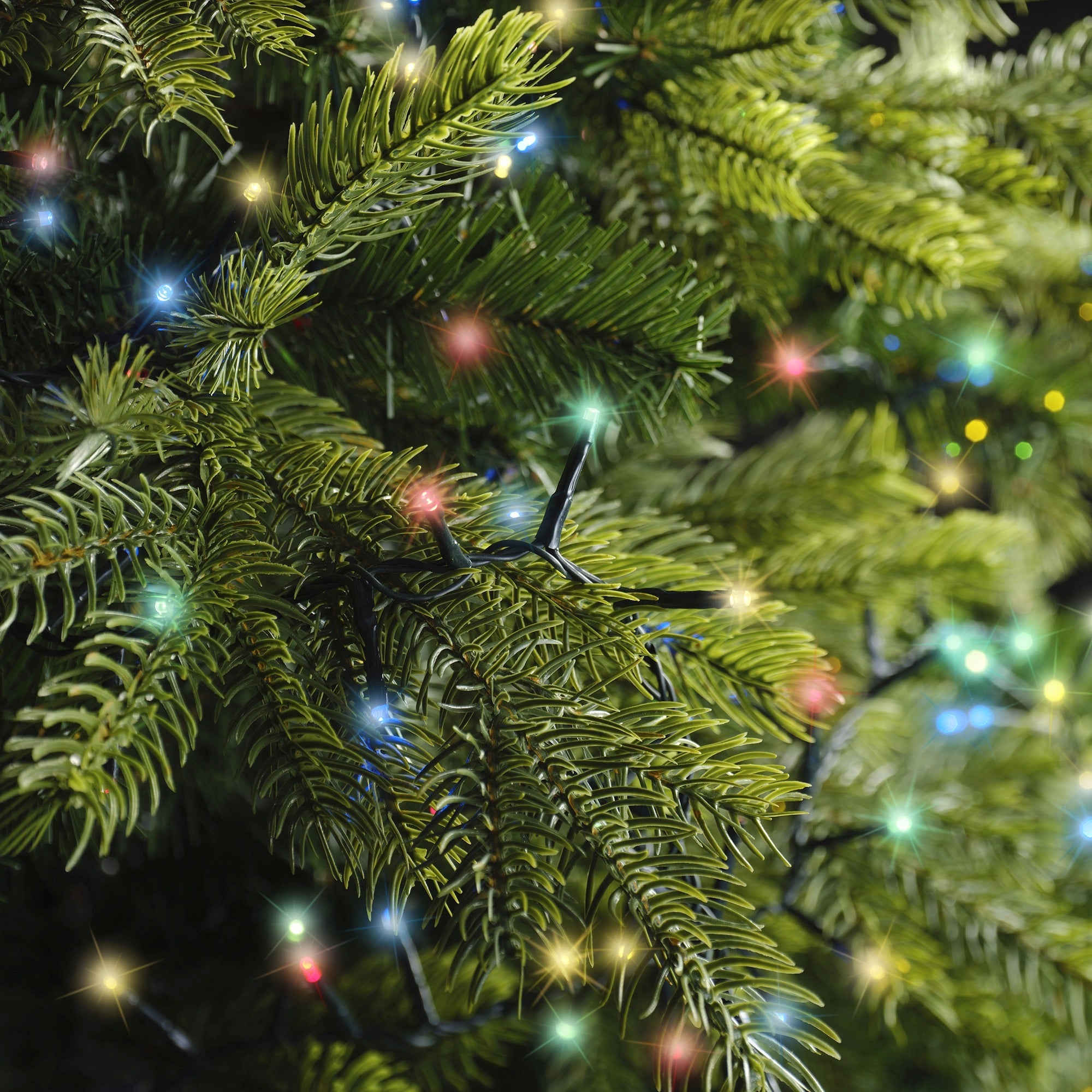 Lumineo LED compact twinkel 1600cm 750L - groen/multi - kerstverlichting