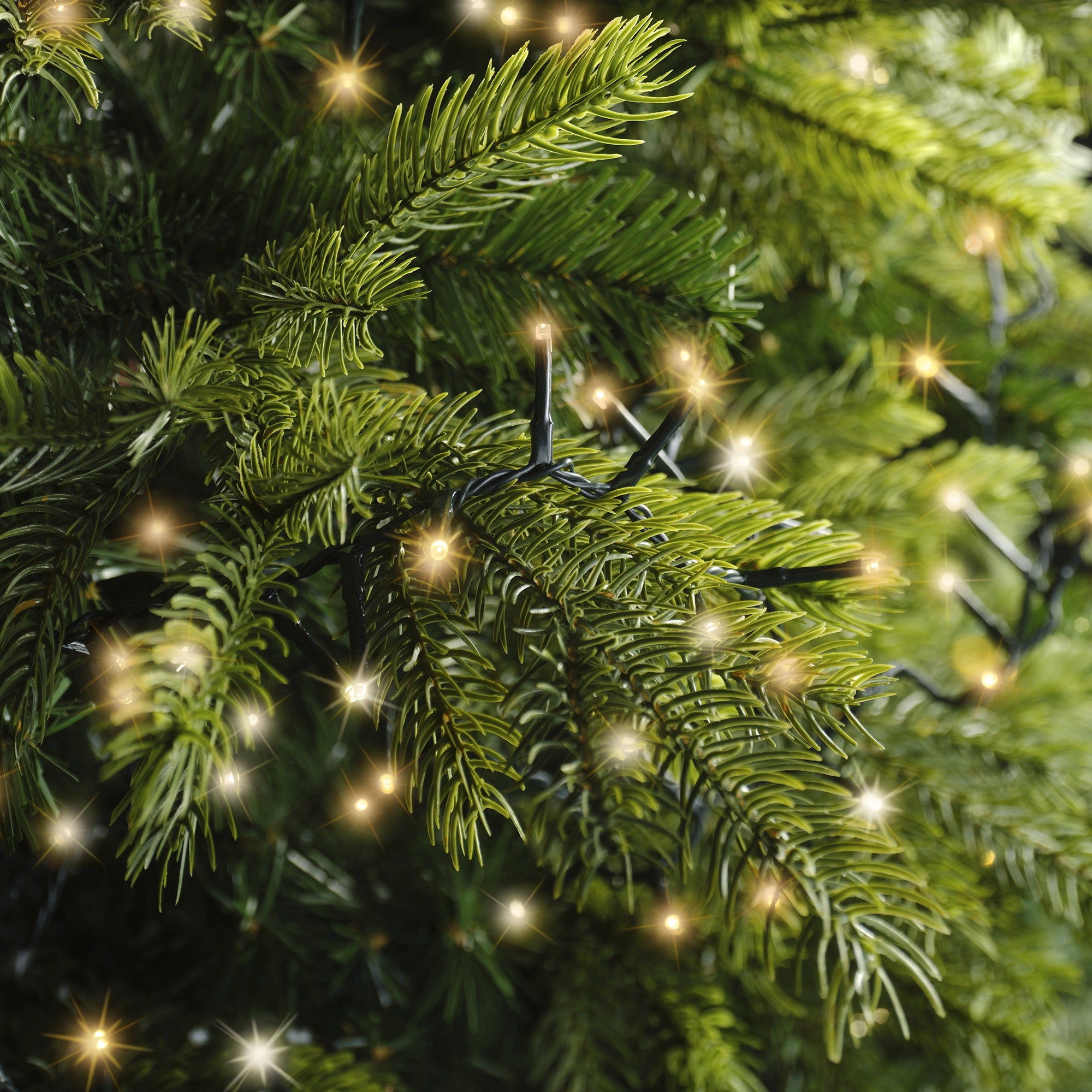 Lumineo LED compact twinkel 1600cm 750L - groen/warm wit/klassiek warm - kerstverlichting