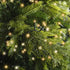 Lumineo LED compact twinkel 1600cm 750L - groen/warm wit/klassiek warm - kerstverlichting