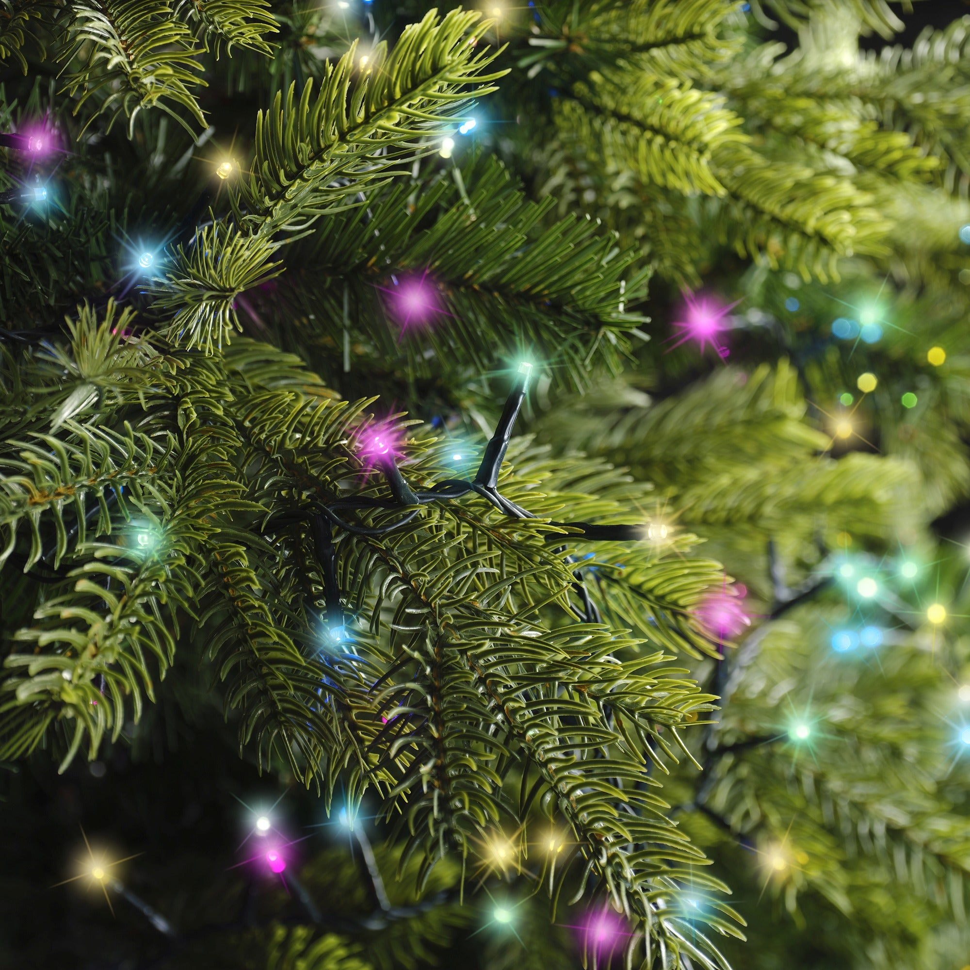 Lumineo LED compact twinkel 1600cm 750L - groen/soft multi - kerstverlichting