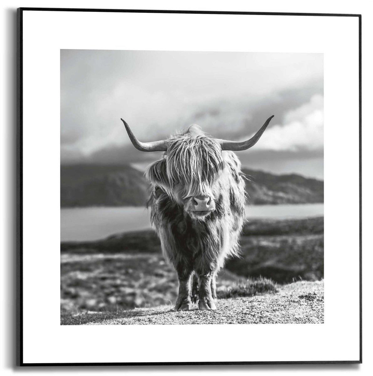 Slim frame zwart - 50x50cm - highland co