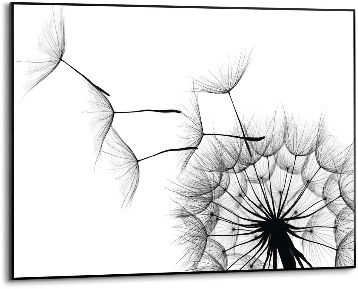 Slim frame zwart - 50x70cm - dandelion