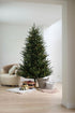 Kerstboom Arkansas dark green PE wooden LB base - h 243cm houten kruisvoet - takken hangen vast