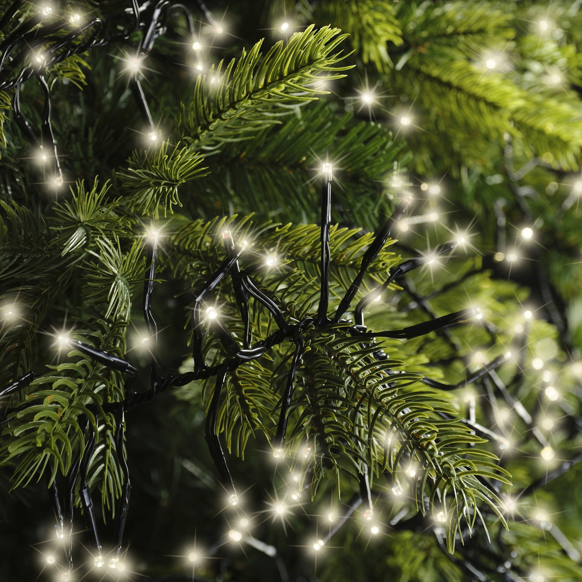 Lumineo LED cluster twinkel 1900cm 2040L - zwart/warm wit  - kerstverlichting