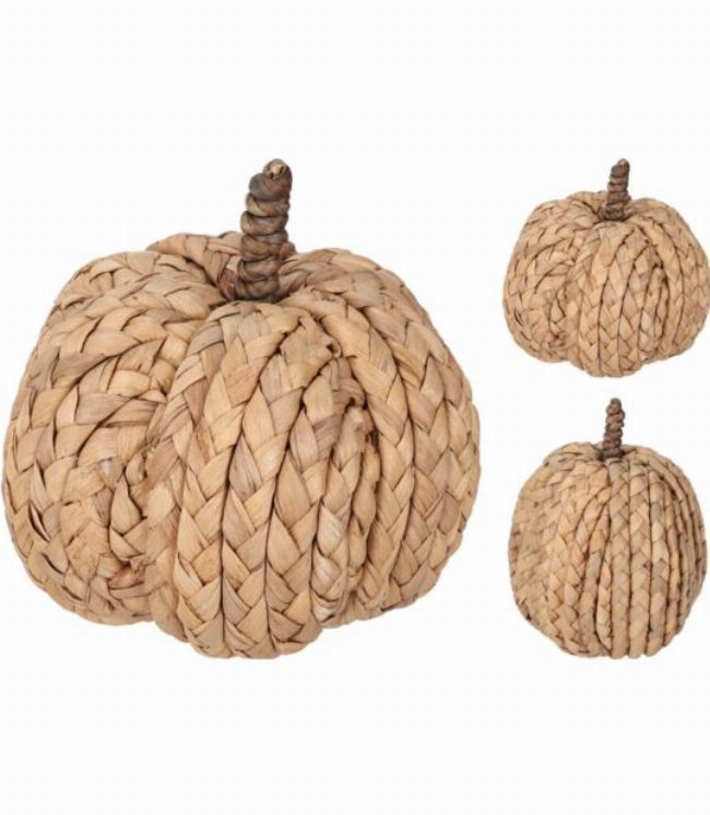 Pompoen - 15cm - natural 2ass (prijs per stuk)