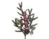 Kerst tak spray dennenappel/berries - groen/rood