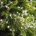 Lumineo LED compact 2250cm 1000L - transparant/warm wit - kerstverlichting