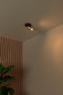 LUCIDE Ritmo plafondspot mat go dia 10 1xGU10 MR11