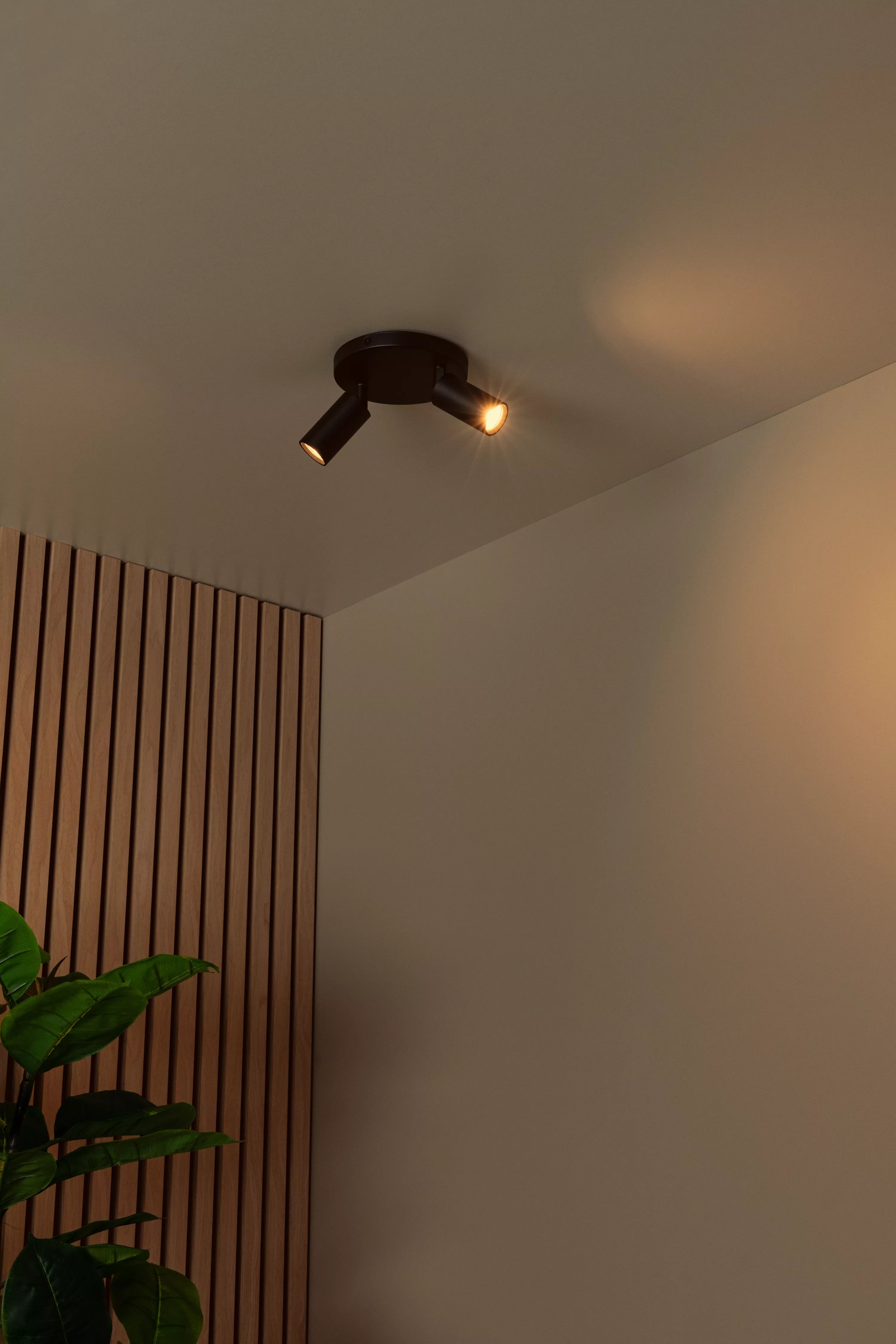 LUCIDE Ritmo plafondspot zwart dia 15 2xGU10 MR11