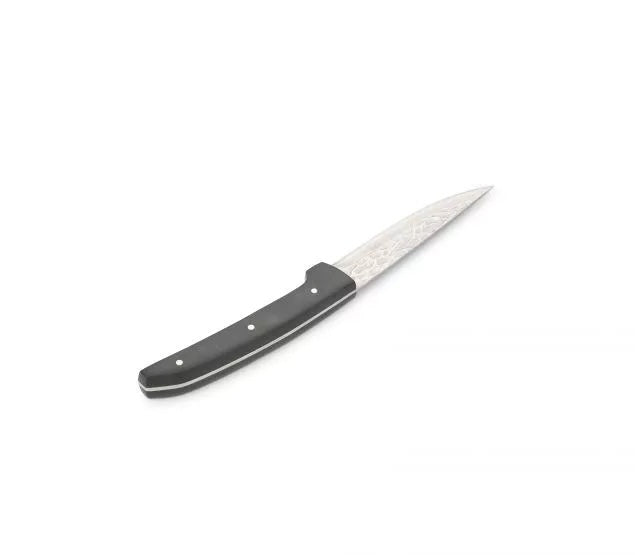 BONBISTRO 4 steakmessen 23cm