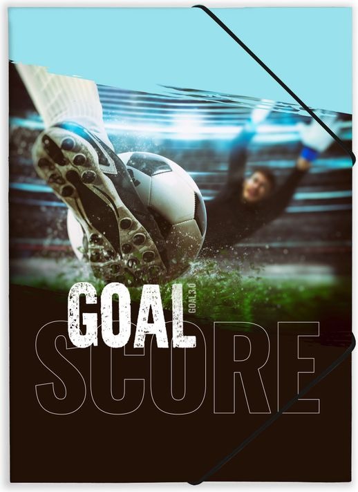 Goal 3.0 - Elastische file
