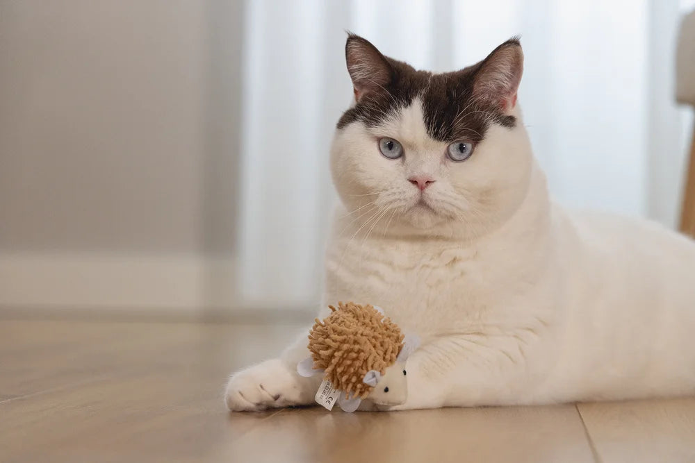 BEEZTEES Kattenspeelgoed - Eco egel Mozi