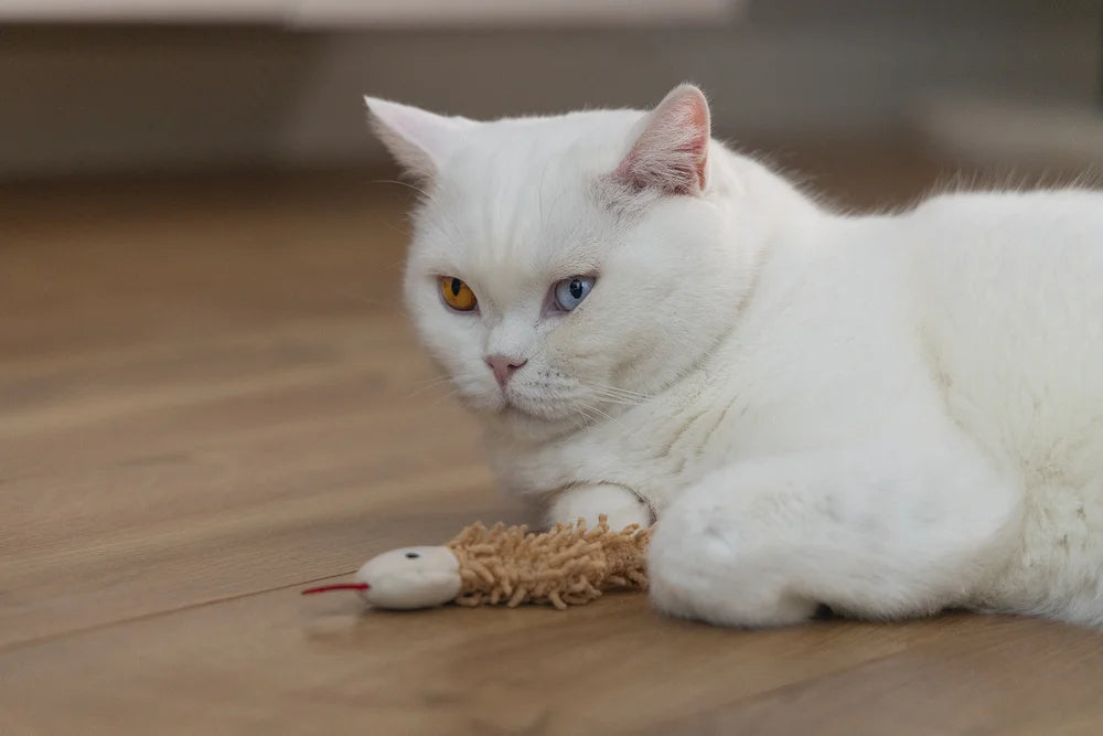 BEEZTEES Kattenspeelgoed - Eco slang Boa - 2st