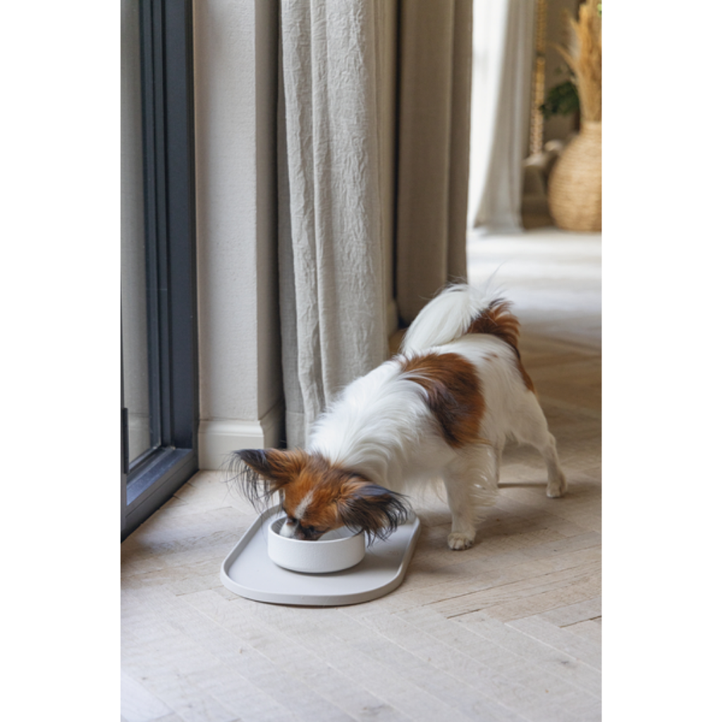 Designed by Lotte Hondenvoerbak NOOR beige - 14cm Bamboo