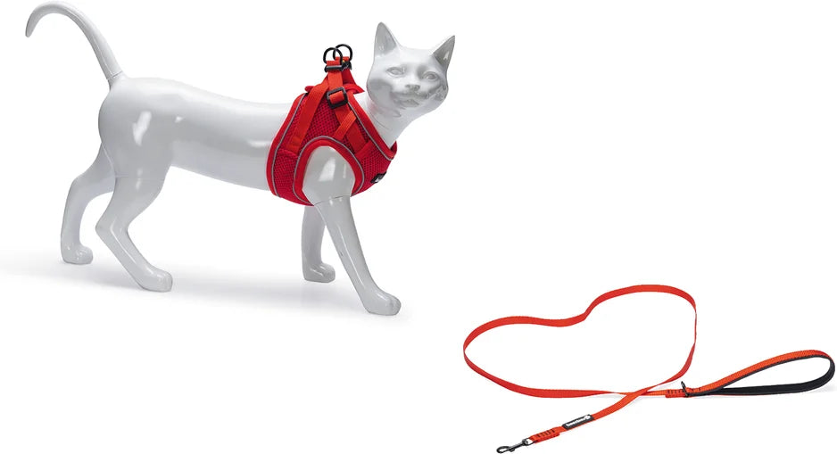 BEEZTEES PARINCA Kattentuigje + leiband - rood Borstomtrek 37/42cm