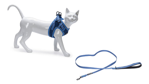 BEEZTEES PARINCA Kattentuigje + leiband - blauw Borstomtrek 37/42cm