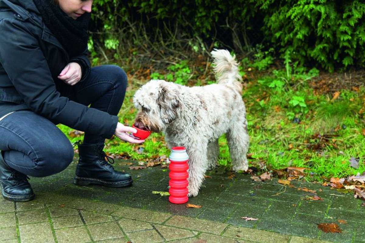 BEEZTEES Drinkfles Kae - silicone 550ml - ass