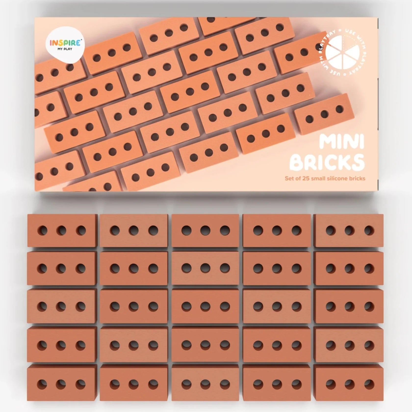 INSPIRE Mini bricks