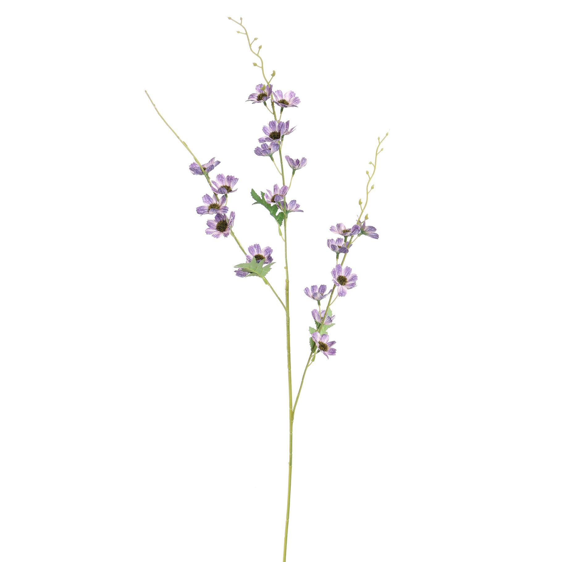 Long Cosmos 105Cm - Lavender