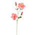 Hibiscus 75Cm - Pink