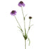 Scabiosa Spray 66Cm - Lavender