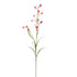 Mini Nicotiana 75Cm - Beauty