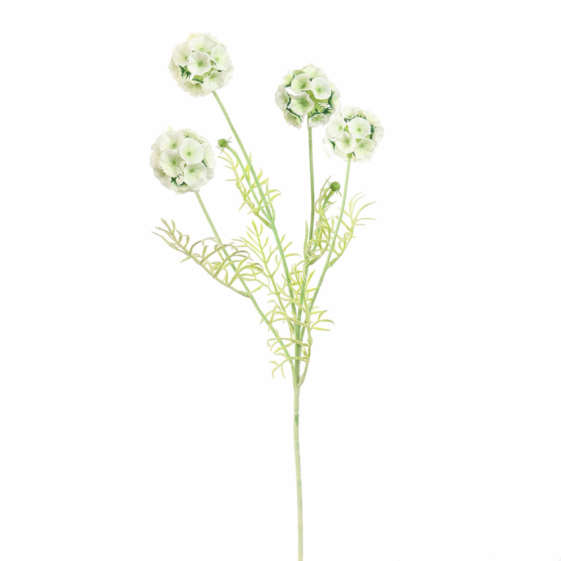 Scabiosa Pod Spray 60Cm - Cream