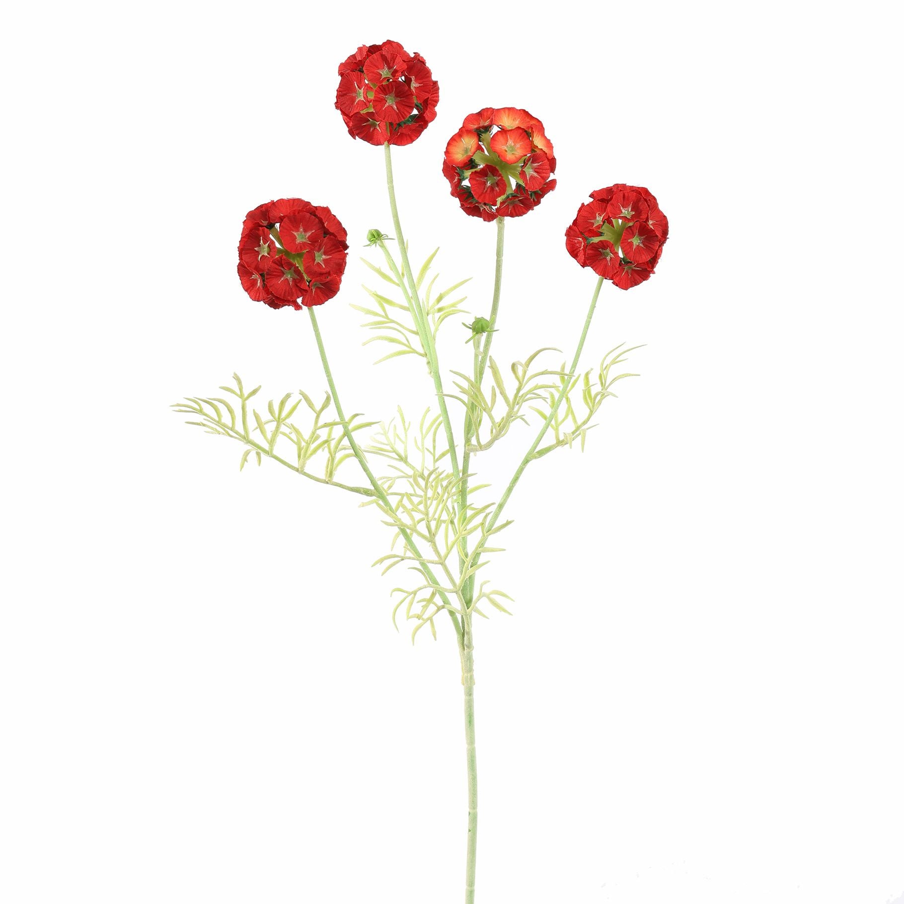 Scabiosa Pod Spray 60Cm - Red
