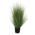 Wide Grass In Pot H 90Cm - Green