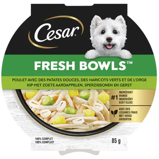 CESAR Fresh Bowls met kip - 85gr