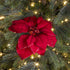 Kerstdeco kerstster glitter op clip 24cm - rood