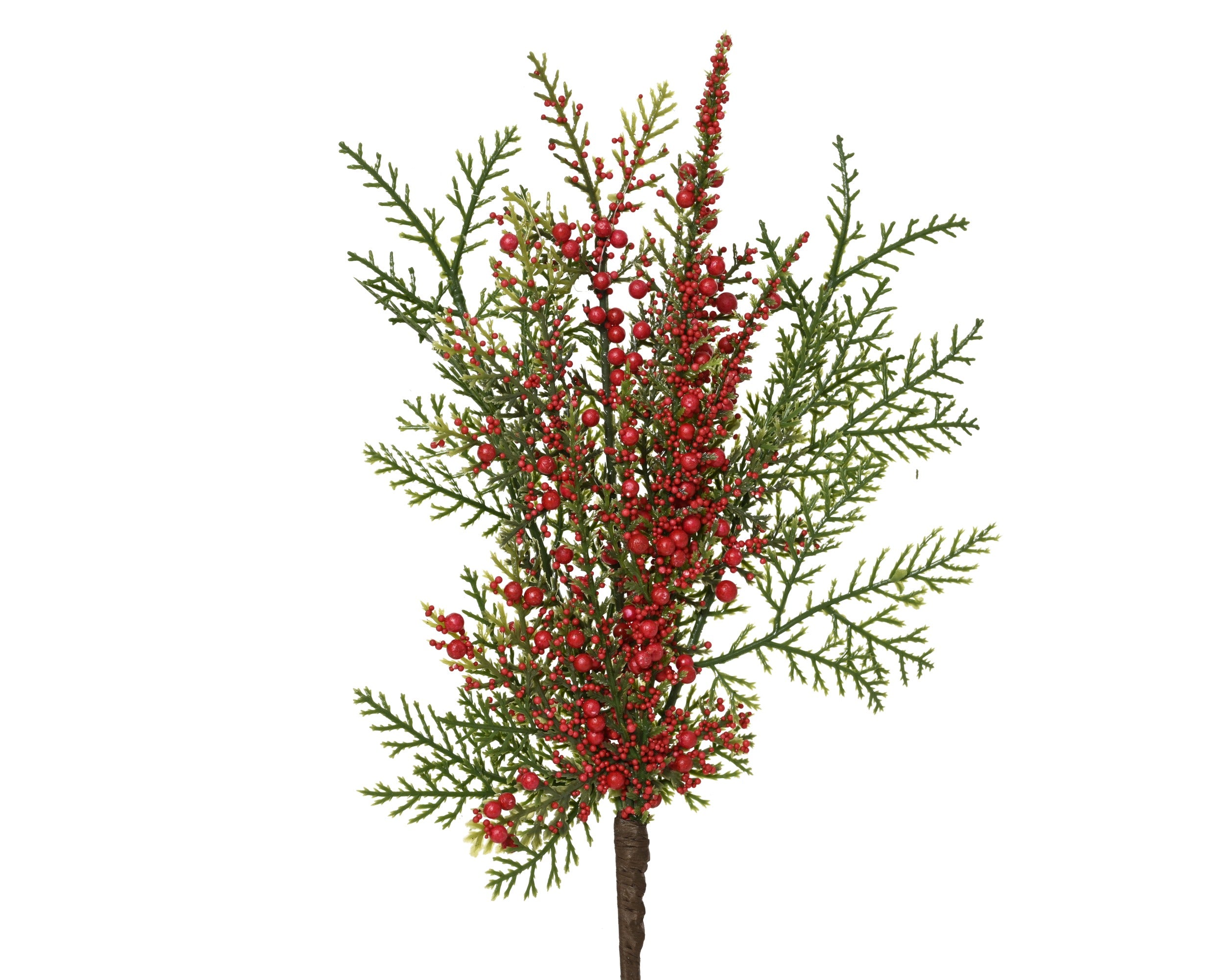 Kerst tak lushy berry binnen - groen/rood
