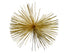 Kerst ster glans 30cm - goud
