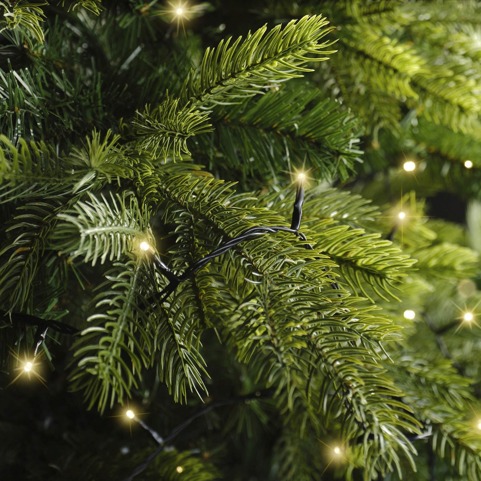 Lumineo LED basic 3600cm 480L - zwart/soft gold  - kerstverlichting
