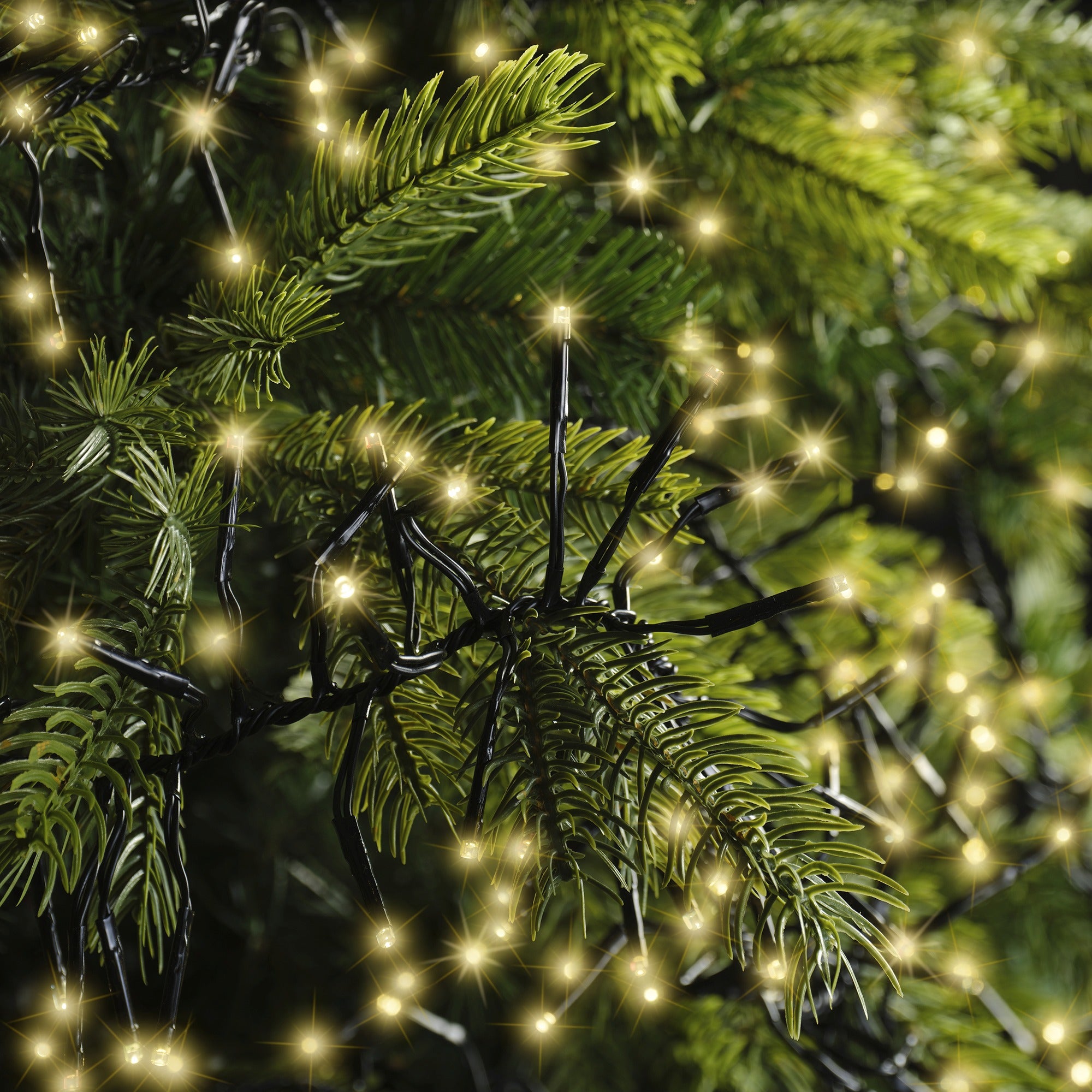 Lumineo LED cluster twinkel 1400cm 1512L - zwart/soft gold  - kerstverlichting