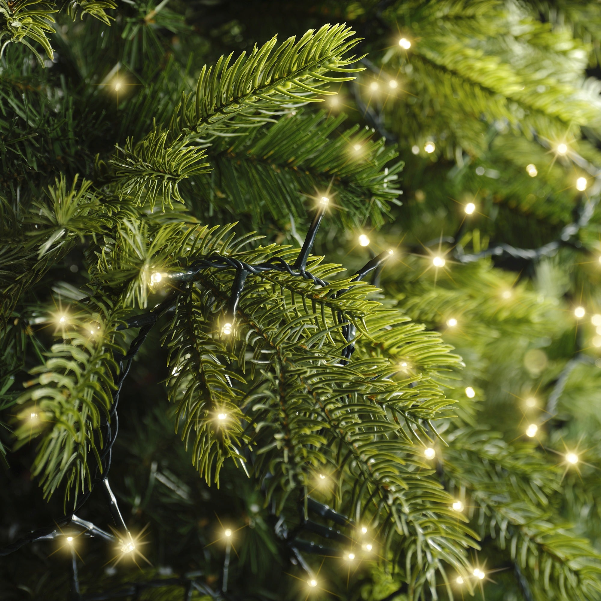 Lumineo LED compact twinkel 1600cm 750L - groen/soft gold - kerstverlichting