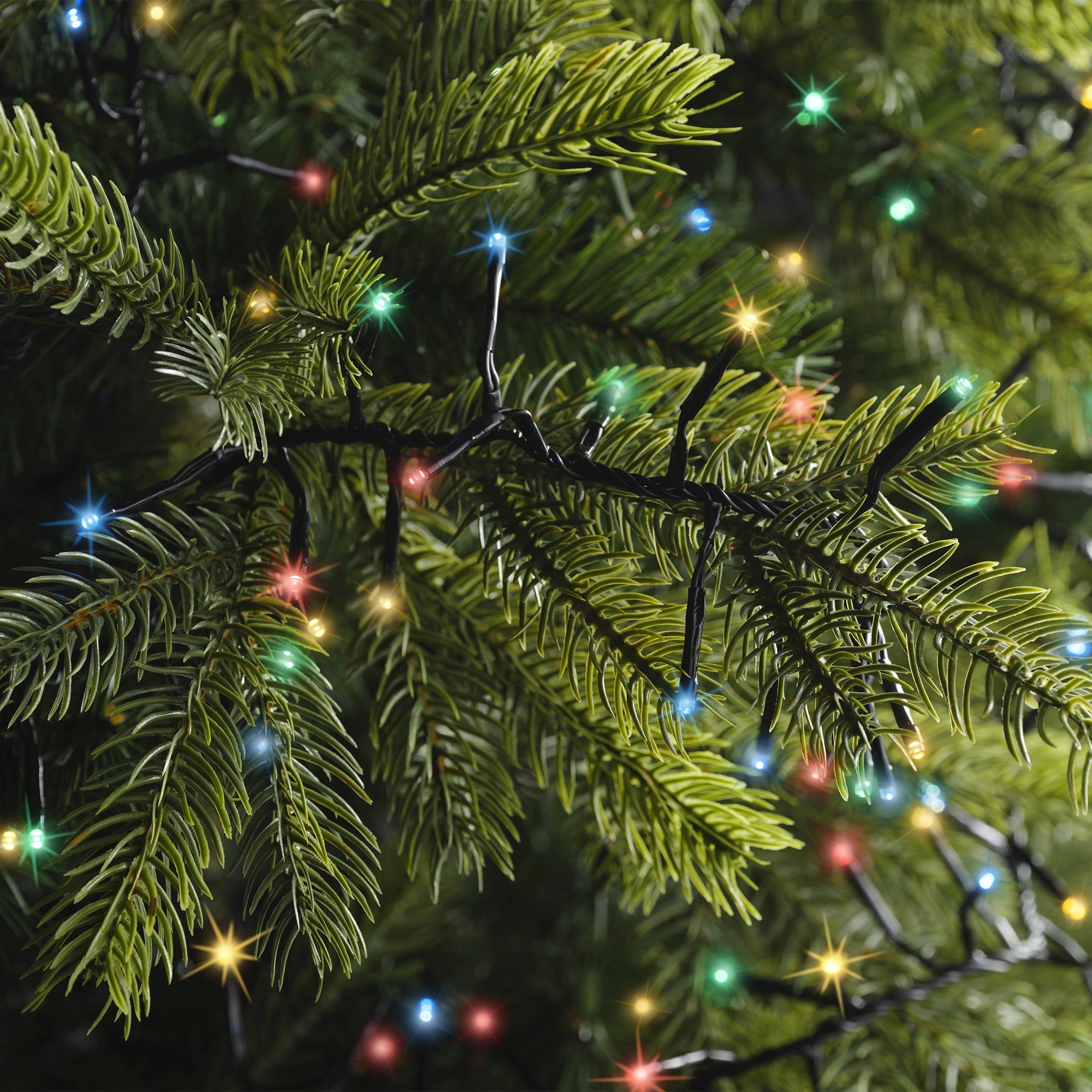 Lumineo LED excellent twinkel 1500cm 960L - zwart/multi - kerstverlichting