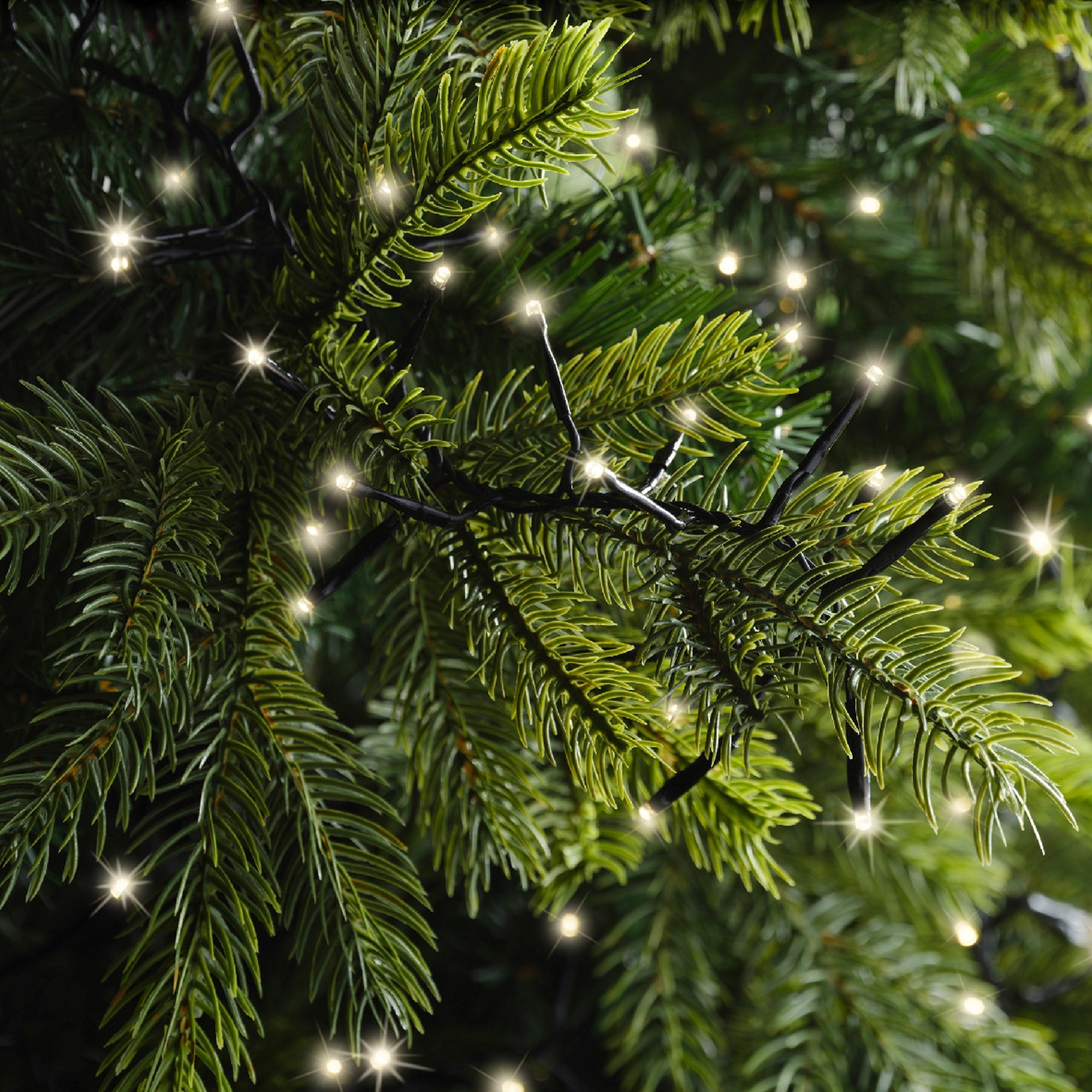 Lumineo LED excellent twinkel 3500cm 2208L - zwart/warm wit - kerstverlichting