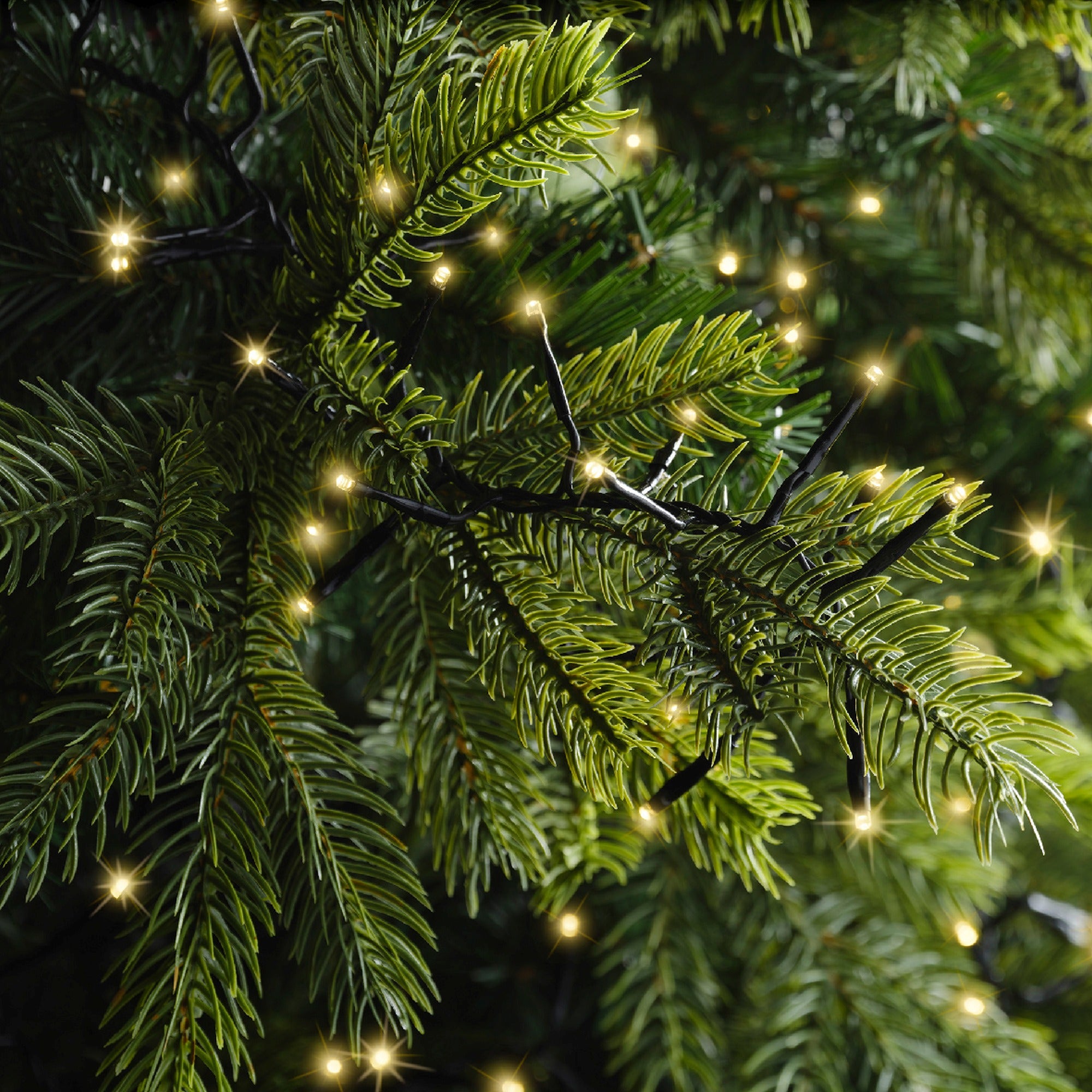 Lumineo LED excellent twinkel 3500cm 2208L - zwart/soft gold - kerstverlichting