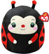 TY Squich a boo Lucy ladybug
